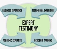 Expert-Witness-Assessments